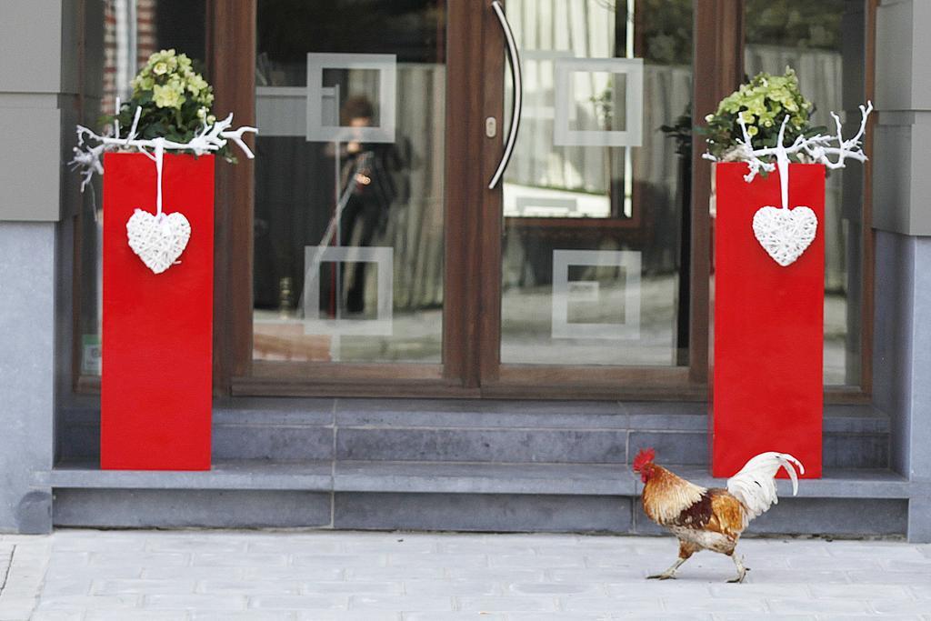 B&B Rouge E Blanc Meulebeke エクステリア 写真